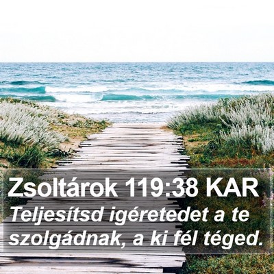 Zsoltárok 119:38 KAR Bible Verse Image