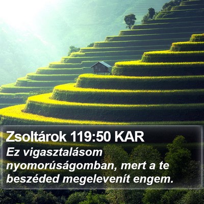 Zsoltárok 119:50 KAR Bible Verse Image
