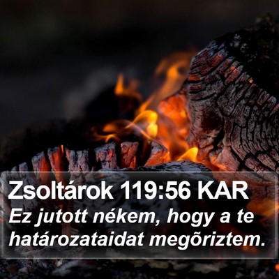 Zsoltárok 119:56 KAR Bible Verse Image