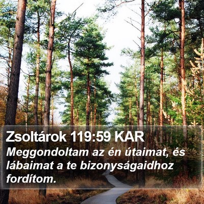 Zsoltárok 119:59 KAR Bible Verse Image