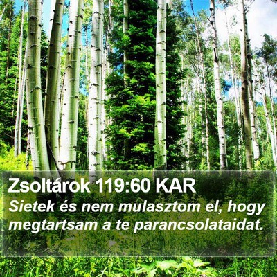 Zsoltárok 119:60 KAR Bible Verse Image