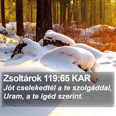 Zsoltárok 119:65 KAR Bible Verse Image