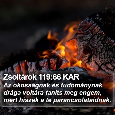Zsoltárok 119:66 KAR Bible Verse Image