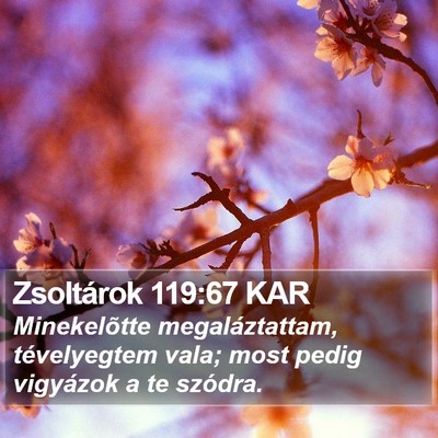 Zsoltárok 119:67 KAR Bible Verse Image