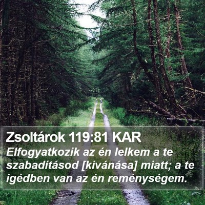 Zsoltárok 119:81 KAR Bible Verse Image