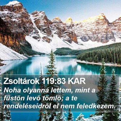 Zsoltárok 119:83 KAR Bible Verse Image