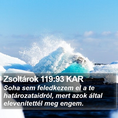 Zsoltárok 119:93 KAR Bible Verse Image