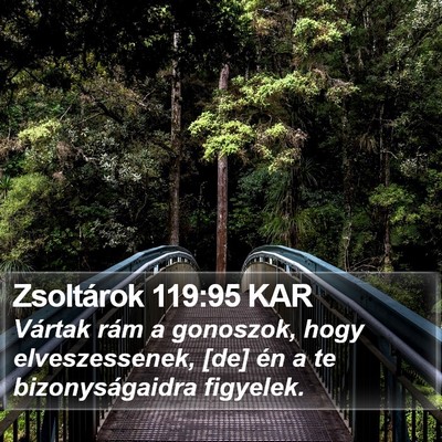 Zsoltárok 119:95 KAR Bible Verse Image