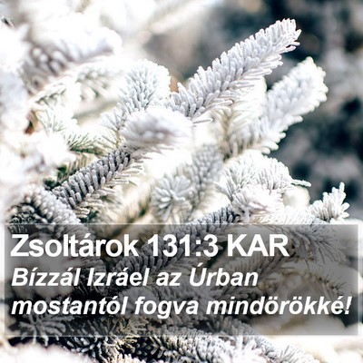 Zsoltárok 131:3 KAR Bible Verse Image