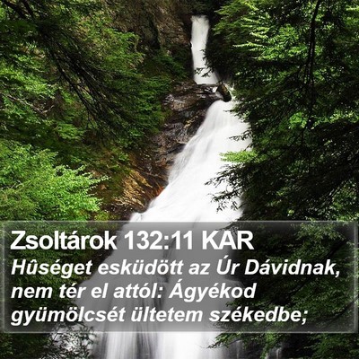 Zsoltárok 132:11 KAR Bible Verse Image