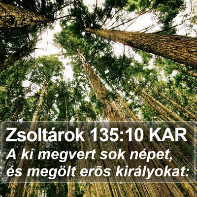 Zsoltárok 135:10 KAR Bible Verse Image