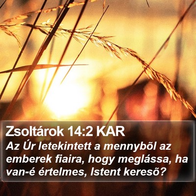 Zsoltárok 14:2 KAR Bible Verse Image