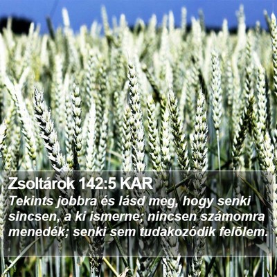 Zsoltárok 142:5 KAR Bible Verse Image