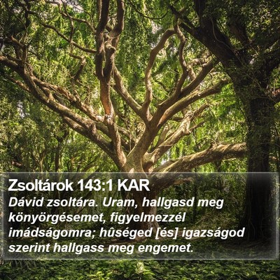 Zsoltárok 143:1 KAR Bible Verse Image