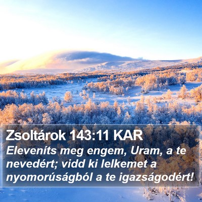 Zsoltárok 143:11 KAR Bible Verse Image