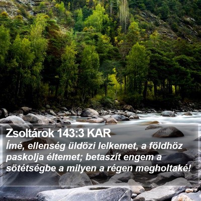 Zsoltárok 143:3 KAR Bible Verse Image