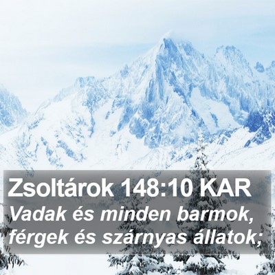 Zsoltárok 148:10 KAR Bible Verse Image