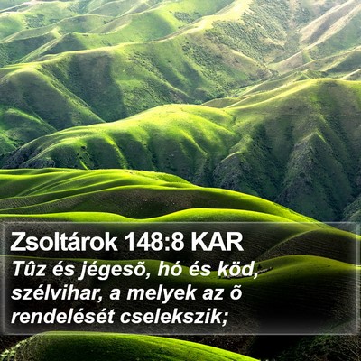 Zsoltárok 148:8 KAR Bible Verse Image