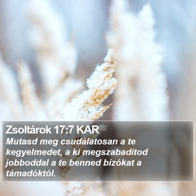 Zsoltárok 17:7 KAR Bible Verse Image