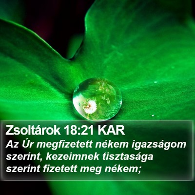 Zsoltárok 18:21 KAR Bible Verse Image