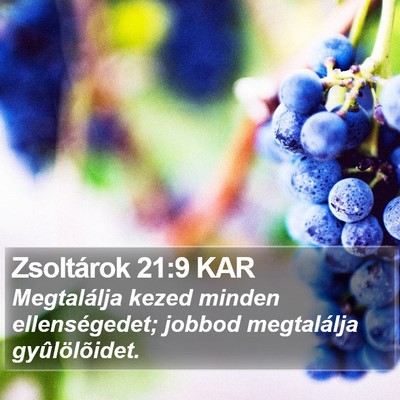Zsoltárok 21:9 KAR Bible Verse Image