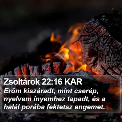 Zsoltárok 22:16 KAR Bible Verse Image