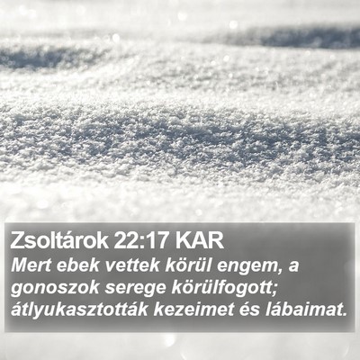 Zsoltárok 22:17 KAR Bible Verse Image