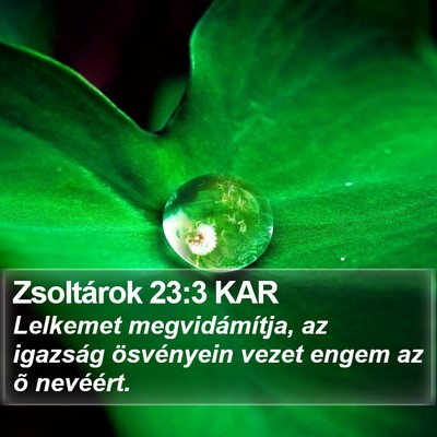 Zsoltárok 23:3 KAR Bible Verse Image
