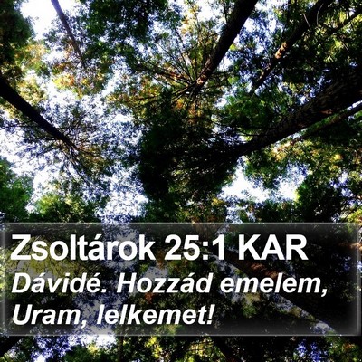 Zsoltárok 25:1 KAR Bible Verse Image