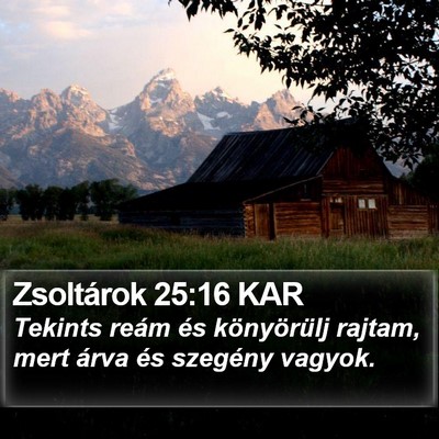 Zsoltárok 25:16 KAR Bible Verse Image