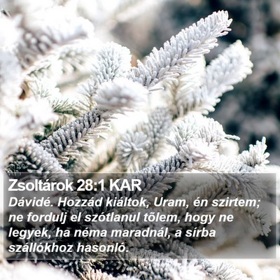 Zsoltárok 28:1 KAR Bible Verse Image