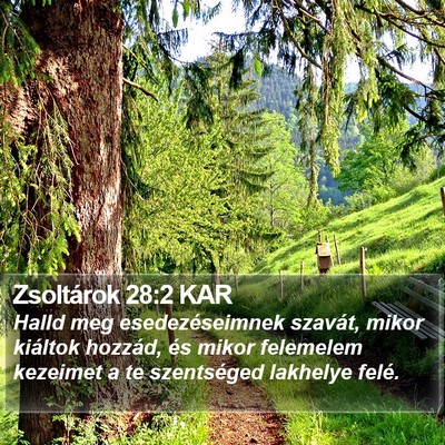 Zsoltárok 28:2 KAR Bible Verse Image