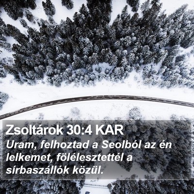 Zsoltárok 30:4 KAR Bible Verse Image