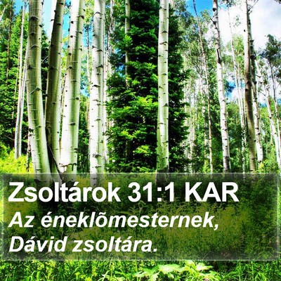 Zsoltárok 31:1 KAR Bible Verse Image