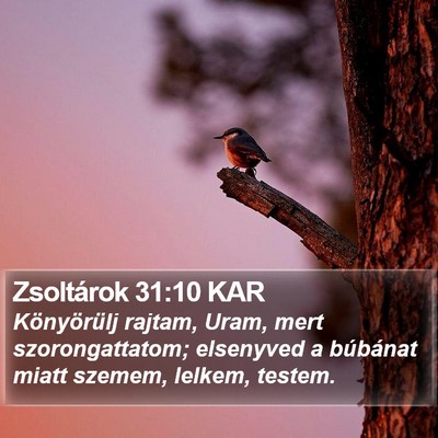 Zsoltárok 31:10 KAR Bible Verse Image