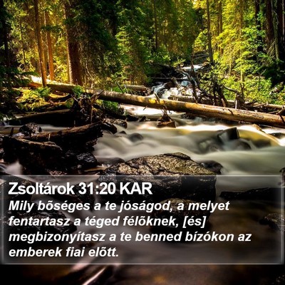 Zsoltárok 31:20 KAR Bible Verse Image