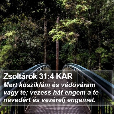 Zsoltárok 31:4 KAR Bible Verse Image