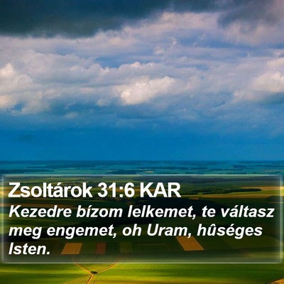 Zsoltárok 31:6 KAR Bible Verse Image