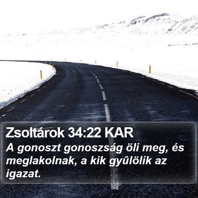 Zsoltárok 34:22 KAR Bible Verse Image