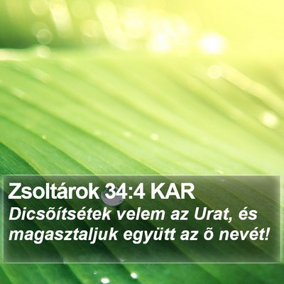 Zsoltárok 34:4 KAR Bible Verse Image