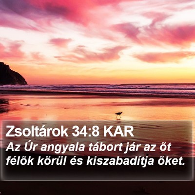 Zsoltárok 34:8 KAR Bible Verse Image