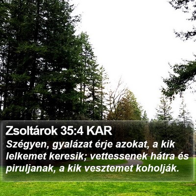 Zsoltárok 35:4 KAR Bible Verse Image