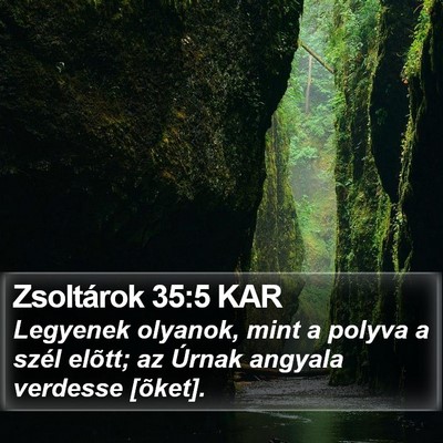 Zsoltárok 35:5 KAR Bible Verse Image