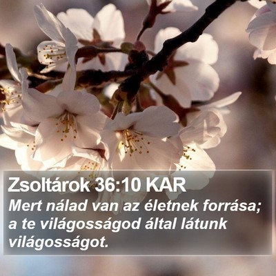 Zsoltárok 36:10 KAR Bible Verse Image