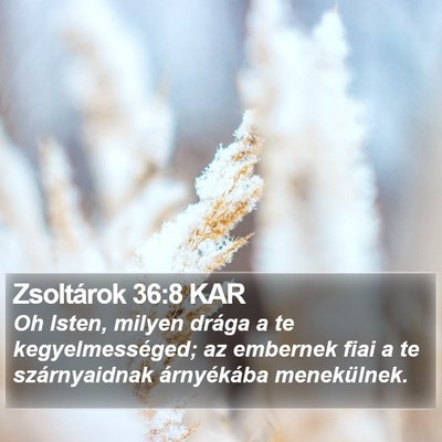 Zsoltárok 36:8 KAR Bible Verse Image