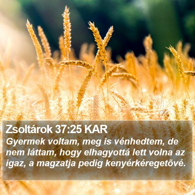 Zsoltárok 37:25 KAR Bible Verse Image