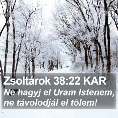 Zsoltárok 38:22 KAR Bible Verse Image