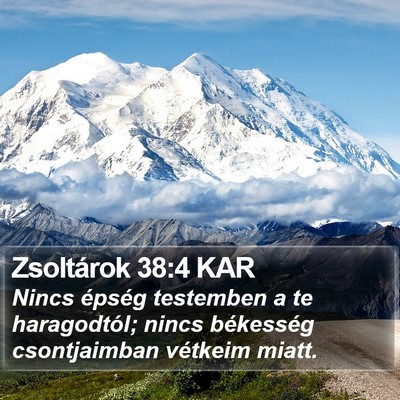 Zsoltárok 38:4 KAR Bible Verse Image