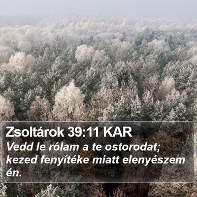 Zsoltárok 39:11 KAR Bible Verse Image