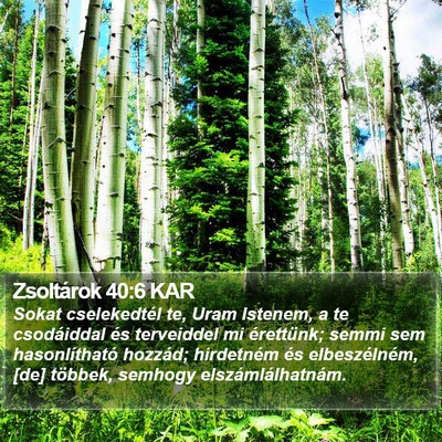 Zsoltárok 40:6 KAR Bible Verse Image
